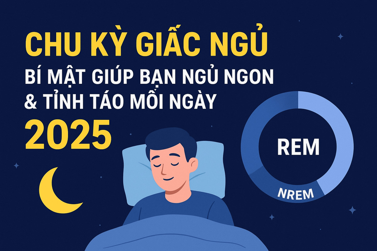 Chu Kỳ Giấc Ngủ: Bí Mật Giúp Bạn Ngủ Ngon & Tỉnh Táo Mỗi Ngày mới nhất 2025
