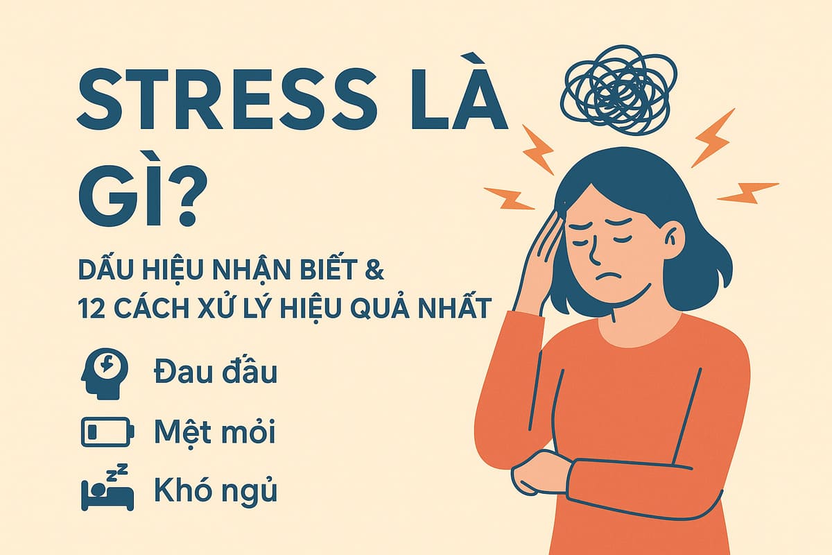 Stress là gì? Dấu hiệu nhận biết & 12 cách xử lý hiệu quả nhất